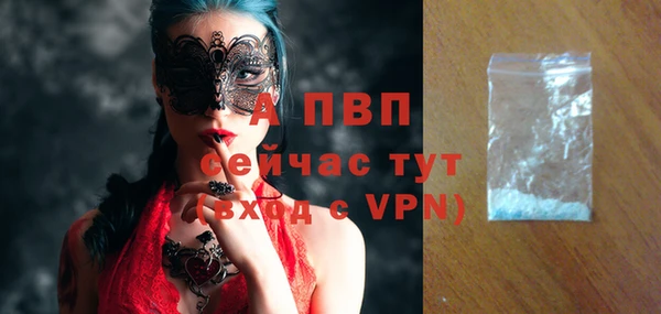 Альфа ПВП Коряжма