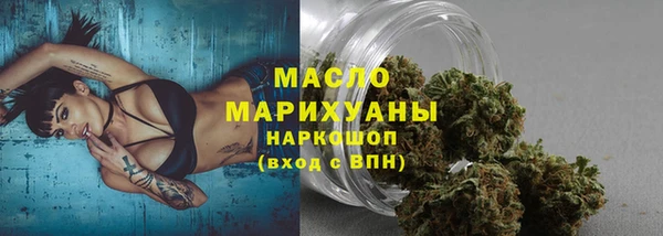 индика Архангельск