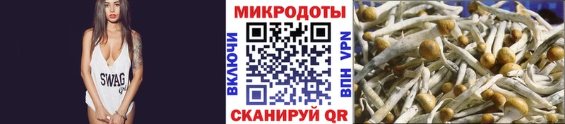 МЕГА рабочий сайт  купить закладку  Чёрмоз  Галлюциногенные грибы ЛСД 